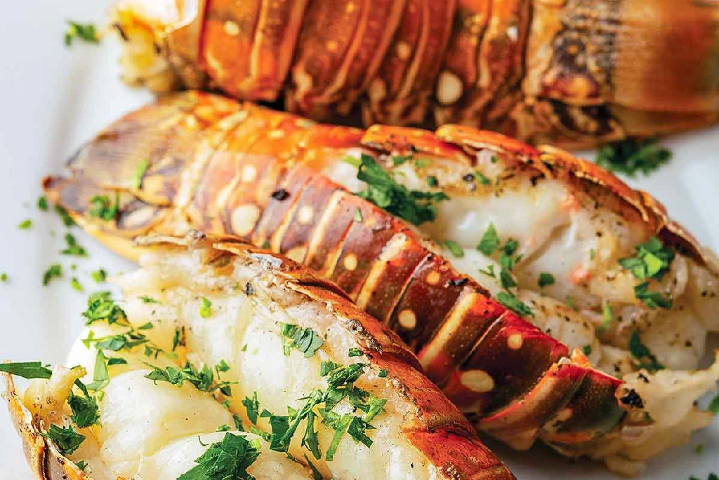 Seafood Special